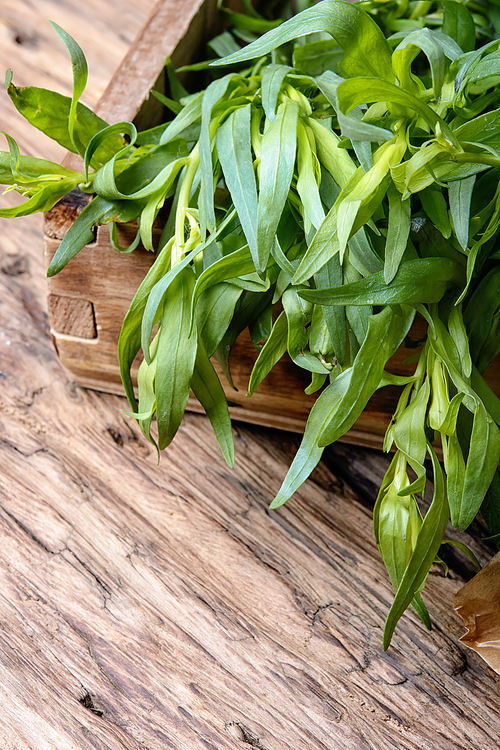 Tarragon herbs in wooden tub on a wooden background