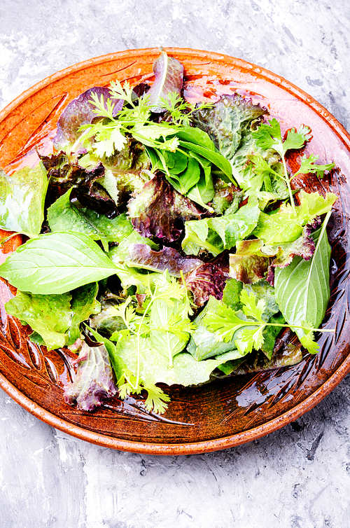 Fresh salad with mixed greens in bowl.Green salad.Vegan food concept
