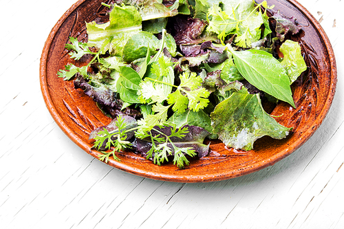 Mix fresh leaves for detox salad.Green salad.Clean eating
