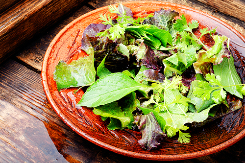 Fresh salad with mixed greens in bowl.Green salad.Vegan food concept