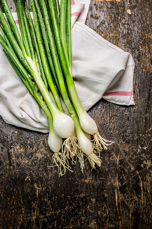 green onions bunch on  dark rustic wooden background, close up