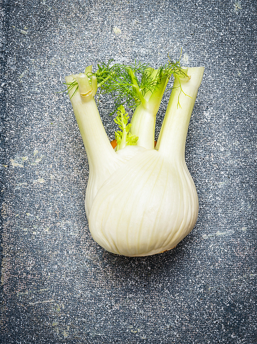 Fennel bulb on gray rustic background, close up