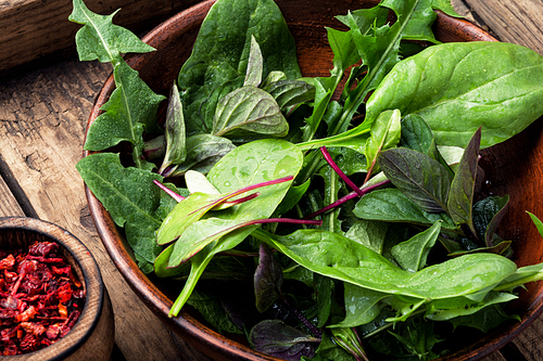 Vegetable salad with fresh lettuce.Healthy spring salad