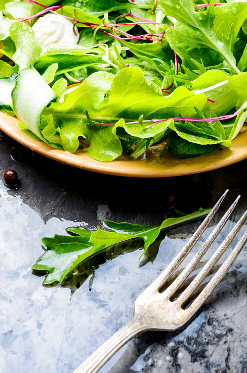 Fresh green mix salad with microgreens.Healthy vegan dish