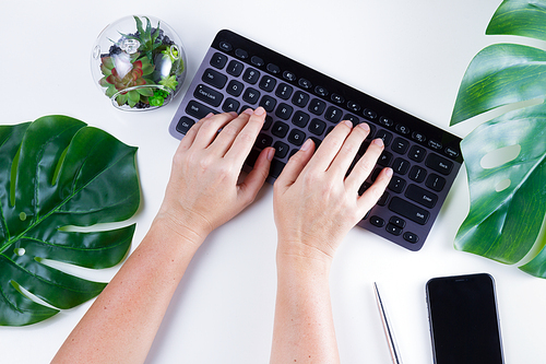 Flat lay home office workspace with someones hands typing on black keyboard and green leaves on white background