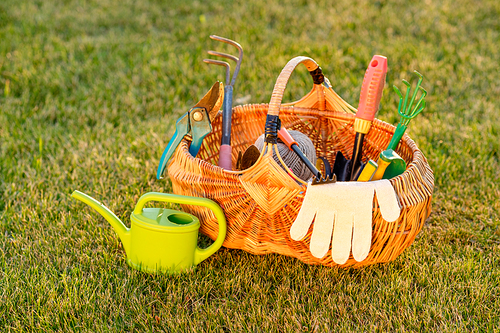 Gardening tools in wicker basket and watering can on grass