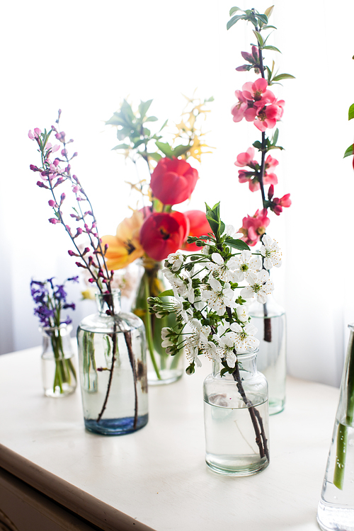 Different beautiful flowers in jars with water on the table near the window