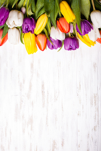 Color tulips on the shabby chic white wooden board. Spring concept with copy space