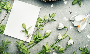 Springtime flowers and twigs and  blank white card for graters, top view