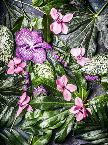 Creative tropical nature background with various palm and jungle leaves and purple flowers, top view. Exotic plants concept