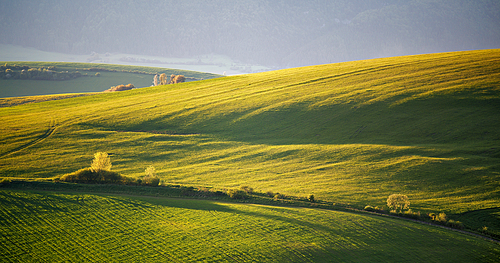 Green spring hills of Slovakia. May sunny countryside fields