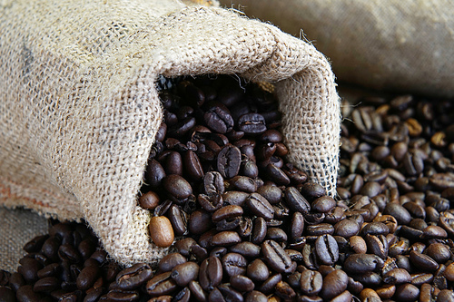 Roasted coffee beans in jute sack