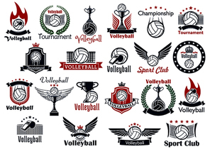 Volleyball sport game icons and symbols. Including many decorative elements as ball, net and whistle, laurel wreath and wings, fire and shield, trophy cup, crown and fire flame