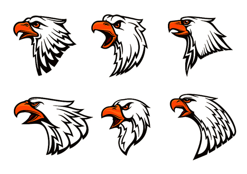 Bald Eagle vector emblems set. Isolated icons of hawk with beak, harsh crying, furious glance. Falcon label for sport team mascot badge, guard shield, club identity label