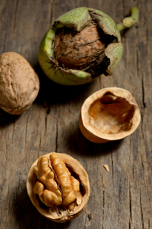 open walnuts details on old wood