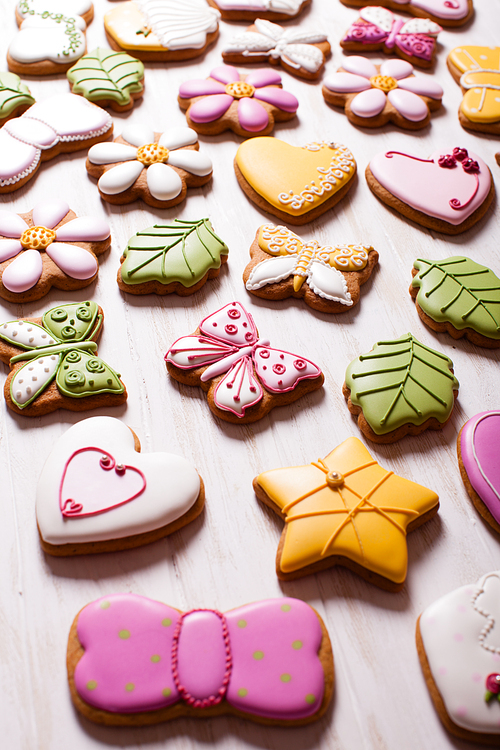 A set of delicious homemade gingerbreads of various shapes laid out on the table