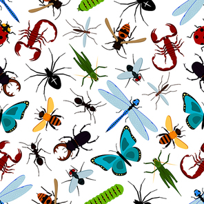 Colorful insect animals seamless pattern. Coccinellidae or ladybug, lady beetle and dragonfly, lucanus cervus and wasp or bee, araneus orb spider and wood ant, grasshopper and stag beetle