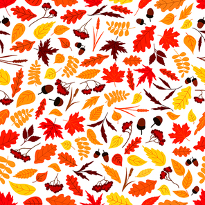 Autumn background with seamless pattern of orange, red and yellow fallen leaves, acorns, dry herbs and branches of rowanberry fruits. Nature theme design