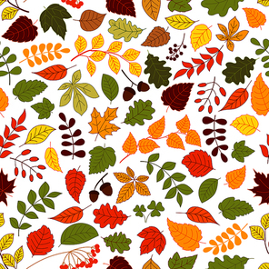 Autumn fallen leaves, branches of atumnal trees, acorns, rowanberry fruits and seeds of wild herbs seamless pattern on white background