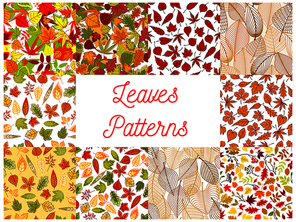 Autumn leaves seamless patterns with set of autumnal backgrounds with yellow and orange fallen leaves, tree branches, acorns and rowanberry fruits