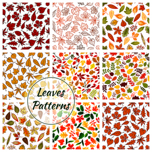 Seamless pattern of leaves. Color elements of birch, rowan, maple, elm, polar, oak, aspen leaf icons. Autumn forest foliage fall decorative background with silhouette, outline, linear shapes