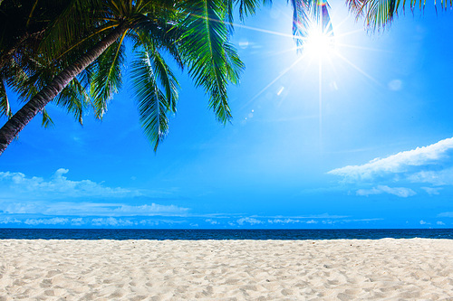 Tropical landscape with palm, tropical beach and sun