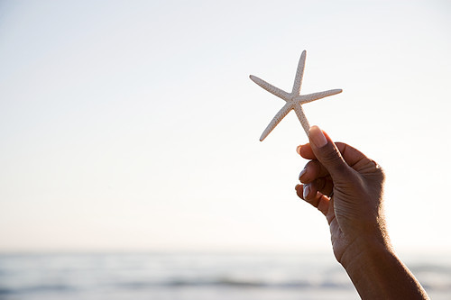 Woman holding a starfish