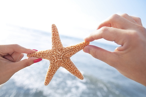 Couple's hands holding starfish at the beach