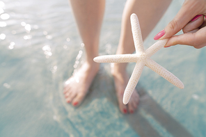 Woman holding starfish at the beach