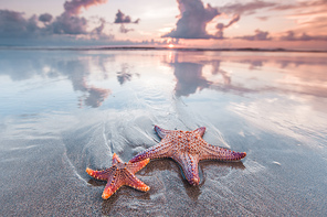 Two starfish on the beach and beautiful sunset over sea