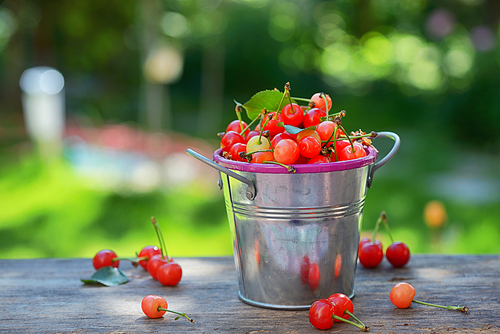 Ripe sweet cherry in small bucket on wooden table
