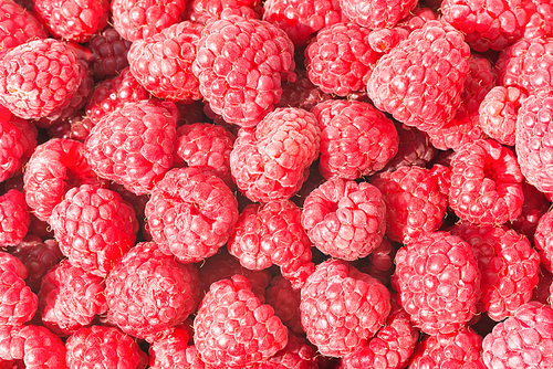Heap of sweet ripe raspberries. Natural texture background