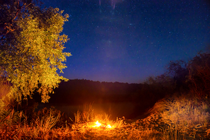 Fire at night in the forest under night sky with stars