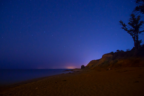 Big tree on a beach under blue dark sky with many bright stars.