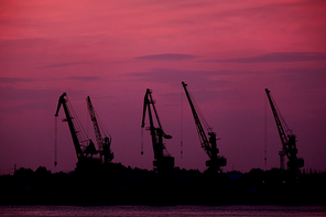 Five Silhouettes Of Wharf Cranes In Front Of Pink Sunset Sky With Violet Clouds.