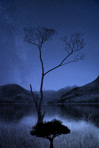Milky Way galaxy image of night sky with natural silhouettes of tree in front of lake and mountains