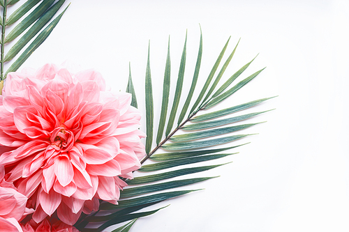 Pink flowers and tropical leaves on on white desktop background, top view, creative layout with copy space, border, close up