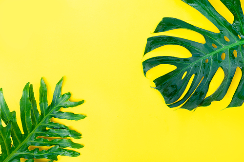 Summer flat lay scenery with tropical leaves on yellow background with copy space