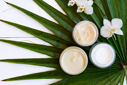 Coconut oil and cosmetics with green palm leaves top view, close up on white wooden background