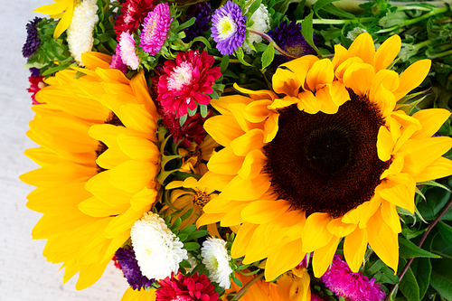 Sunflowers and aster fresh flowers close up