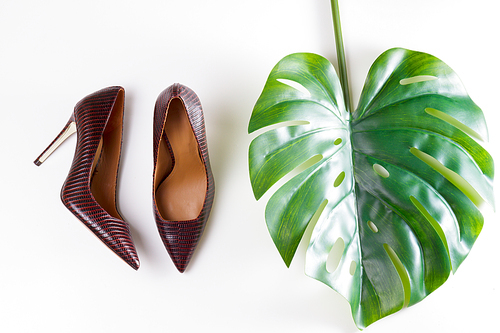 Pair of elegant leather high heel shoes with mostera plant leaf