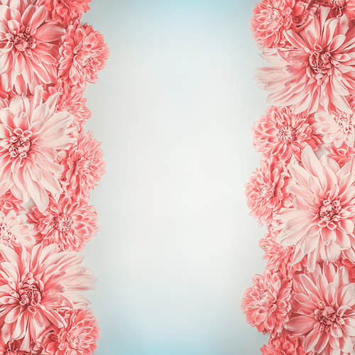 Pastel pink flowers frame on pale blue background, top view. Floral layout or mock up , vertical