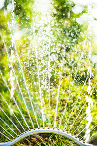 Sprinkler in summer garden on green nature background, close up