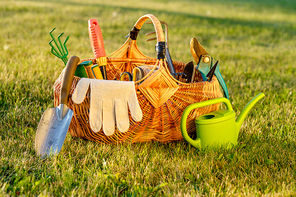 Gardening tools in wicker basket and watering can on grass