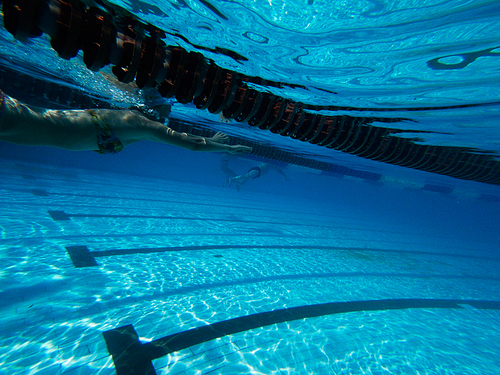 Unrecognizable people swim underwater in pool near surface