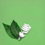 Creative still life of energy saving bulb with leaves as a symbol of environmental protection.