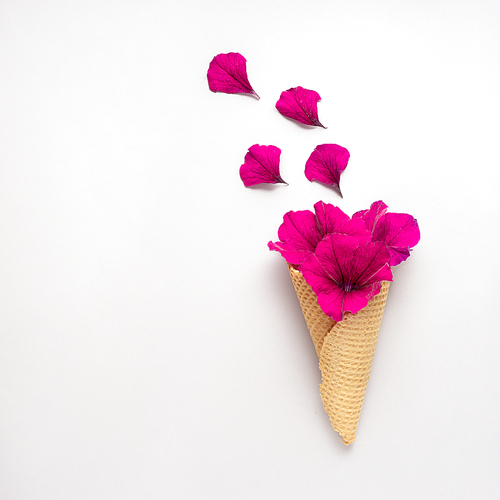 Creative concept photo of ice cream waffle cone with flowers on grey background.
