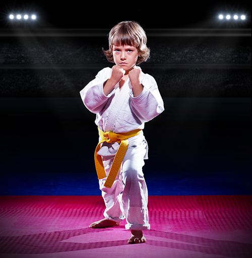 Little boy aikido fighter at sports hall