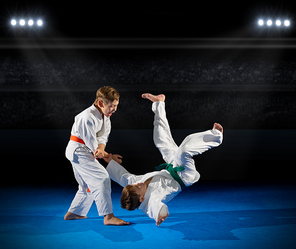 Little boys martial arts fighters in sports hall