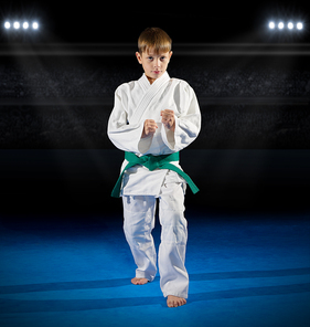 Little boy martial arts fighter in sports hall